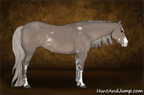 Horse Color:Silver Grullo Sabino 