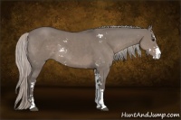 Horse Color:Silver Grullo Sabino