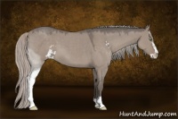 Horse Color:Silver Grullo Roan Sabino
