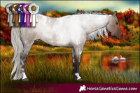 Horse Color:White Spotted Silver Brown Roan Dun 