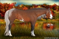 Horse Color:Silver Buckskin Roan Sabino 