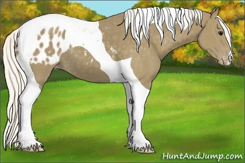 Horse Color:Silver Smoky Black Tobiano Appaloosa