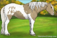Horse Color:Silver Smoky Black Tobiano Appaloosa