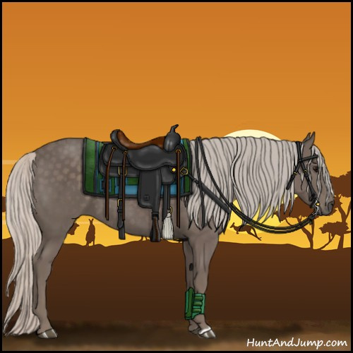 Horse Color:Silver Black 
