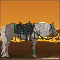 Horse Color:Silver Black