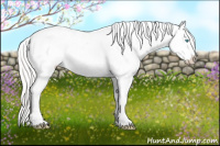 Horse Color:Cremello Blanket 