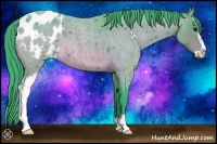 Horse Color:Watercolor Buckskin Roan Sabino Appaloosa 