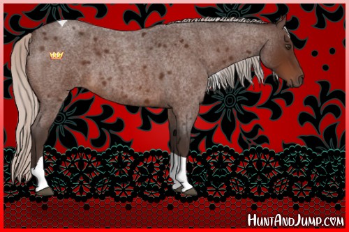 Horse Color:Silver Brown Roan Tobiano 