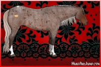 Horse Color:Silver Brown Roan Tobiano 