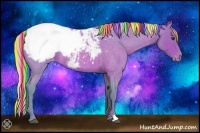 Horse Color:Painted Watercolor Silver Brown Roan Appaloosa 
