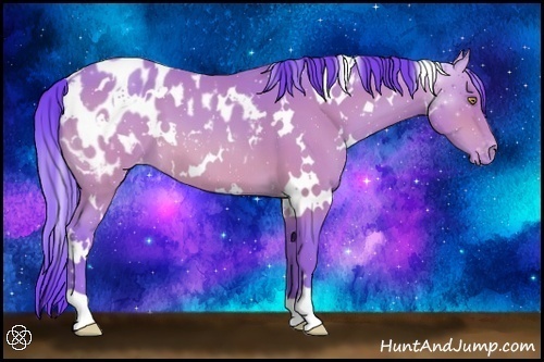 Horse Color:Watercolor White Spotted Sable Champagne Appaloosa 
