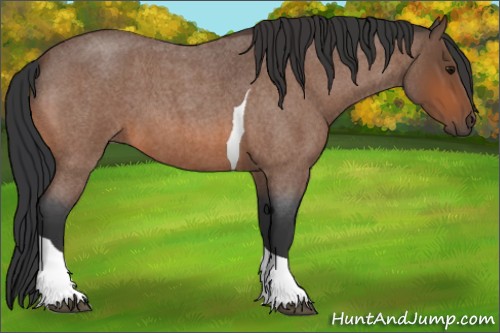 Horse Color:Bay Roan Tobiano Rabicano