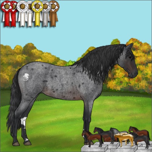 Horse Color:Brown Roan 