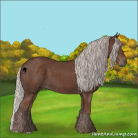 Horse Color:Silver Black 