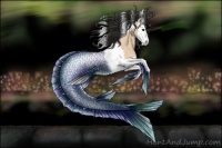 Horse Color:Bay Dun Splash Tobiano Rabicano