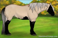 Horse Color:Void Silver Bay Dun Splash 
