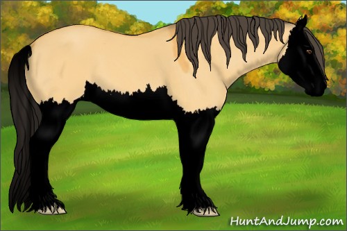 Horse Color:Void Buckskin Dun Splash