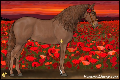 Horse Color:Red Roan 