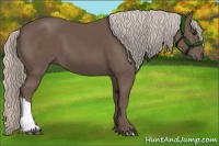 Horse Color:Silver Black 