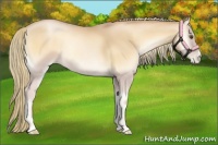 Horse Color:Red Onyx Pearl 