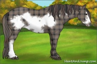 Horse Color:Plaid  Black Frame 