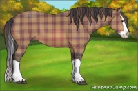 Horse Color:Plaid Bay Splash