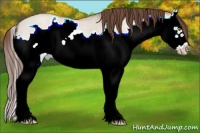 Horse Color:Amber Champagne Roan Dun Splash Frame Varnish 
