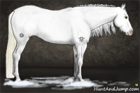 Horse Color:White Spotted Palomino Dun Varnish 