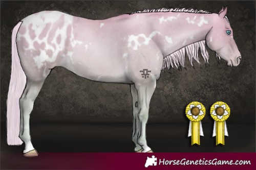 Horse Color:White Spotted Gold Cream Champagne Pearl Varnish