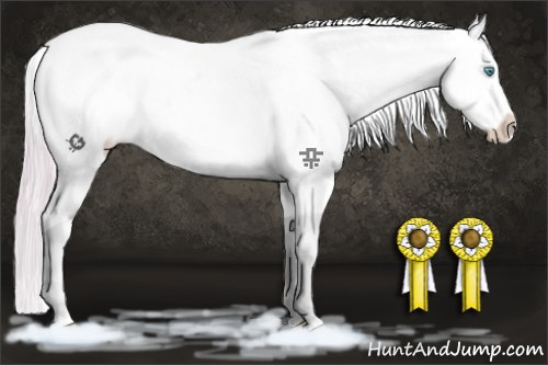 Horse Color:White Spotted Gold Cream Champagne Pearl Appaloosa 