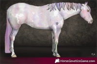 Horse Color:Nacre White Spotted Chestnut Pearl Appaloosa