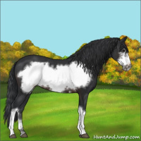 Horse Color:Brown Frame 