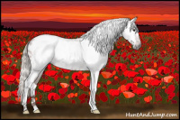 Horse Color:Gray Silver Bay Tobiano Appaloosa