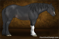 Horse Color:Platinum Brown 