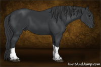 Horse Color:Platinum Black Tobiano