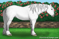 Horse Color:Gray Platinum Brown 