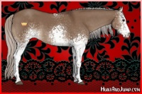 Horse Color:White Spotted Silver Brown Dun