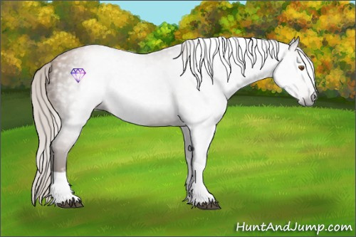 Horse Color:Gray Silver Black Pearl Tobiano