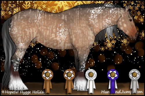Horse Color:Bay Dun and White Spotted Bay Dun