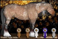 Horse Color:Bay Dun and White Spotted Bay Dun