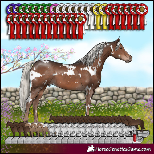 Horse Color:White Spotted Liver Chestnut Mushroom 