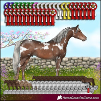 Horse Color:White Spotted Liver Chestnut Mushroom 