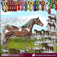 Horse Color:White Spotted Liver Chestnut Mushroom 