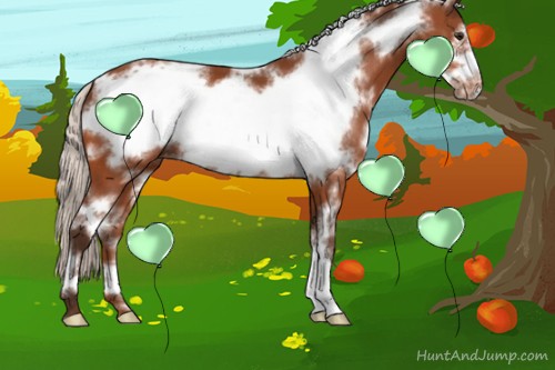 Horse Color:White Spotted Silver Bay Frame Varnish 
