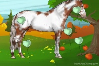 Horse Color:White Spotted Silver Bay Frame Varnish 