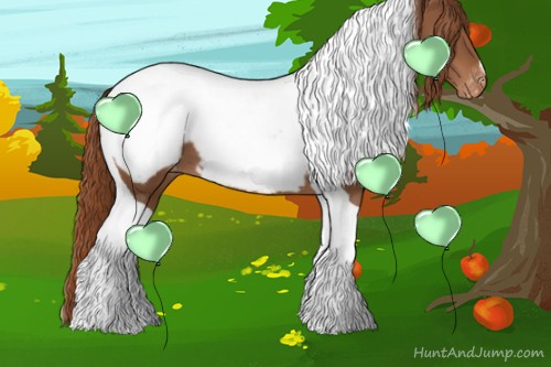 Horse Color:Chestnut Tobiano Appaloosa 