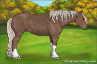 Horse Color:Silver Black 
