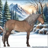 Horse Color:Silver Brown Dun