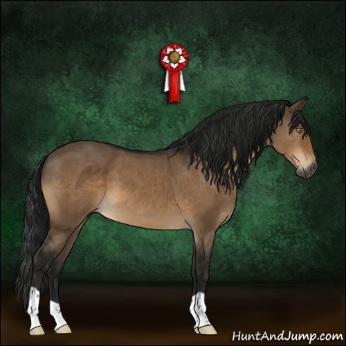 Horse Color:Gray Brown Dun 