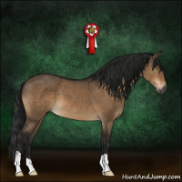 Horse Color:Gray Brown Dun 